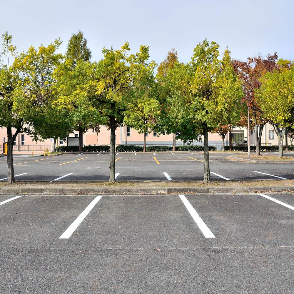 Empty parking lot with trees